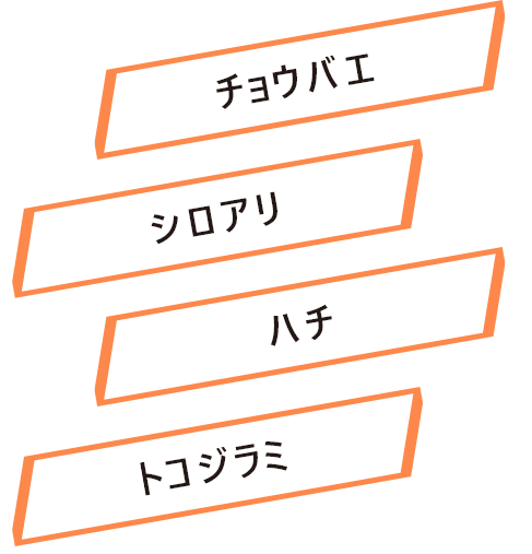 チョウバエ、シロアリ、ハチ、トコジラミ