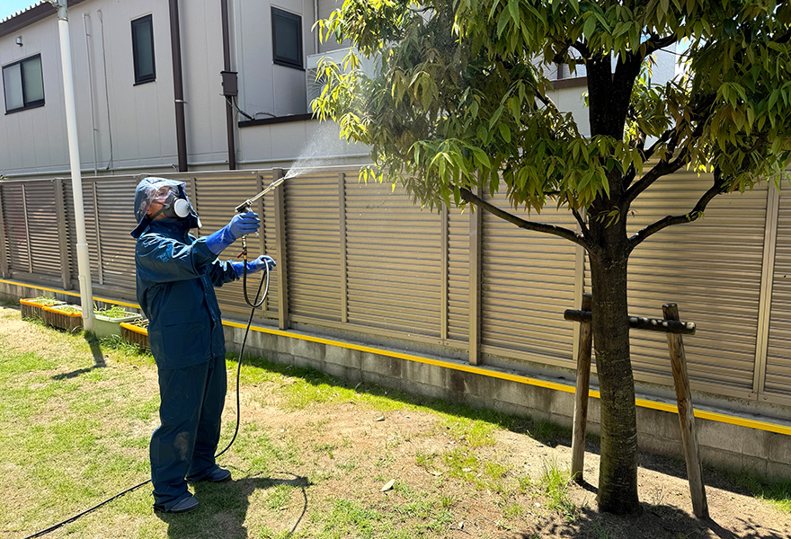 樹木害虫作業